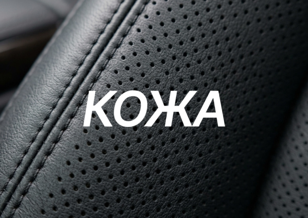 Кожа
